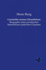 Geschichte meines Dienstlebens