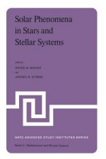 Solar Phenomena in Stars and Stellar Systems