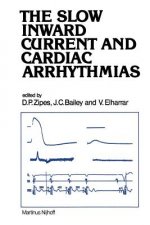 Slow Inward Current and Cardiac Arrhythmias