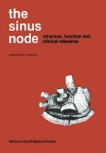 Sinus Node