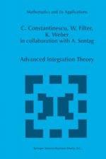 Advanced Integration Theory