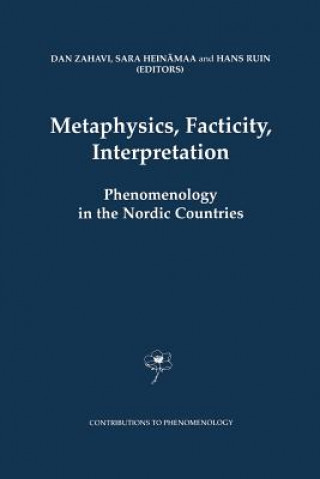 Metaphysics, Facticity, Interpretation