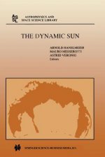 Dynamic Sun