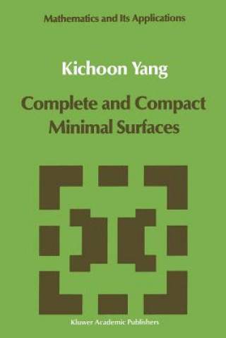 Complete and Compact Minimal Surfaces