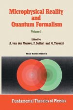 Microphysical Reality and Quantum Formalism, 3 Teile. Vol.1