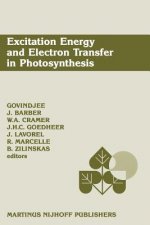 Excitation Energy and Electron Transfer in Photosynthesis