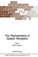 Psychophysics of Speech Perception