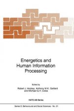Energetics and Human Information Processing