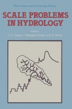 Scale Problems in Hydrology