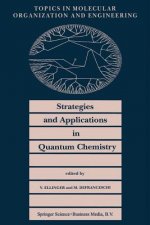 Strategies and Applications in Quantum Chemistry