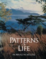 Patterns of Life