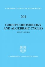Group Cohomology and Algebraic Cycles