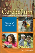 Cerebellum - Learning Movement, Language, and Social Skills