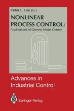 Nonlinear Process Control: