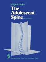 Adolescent Spine