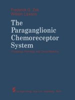 Paraganglionic Chemoreceptor System