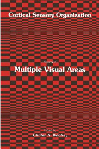 Multiple Visual Areas