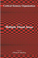 Multiple Visual Areas