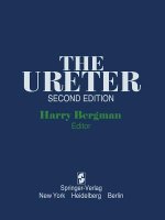 Ureter