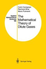 The Mathematical Theory of Dilute Gases
