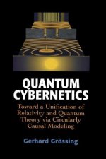 Quantum Cybernetics