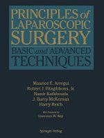 Principles of Laparoscopic Surgery