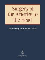 Surgery of the Arteries to the Head