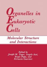 Organelles in Eukaryotic Cells