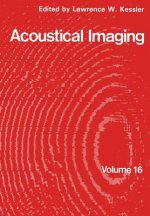 Acoustical Imaging