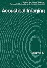 Acoustical Imaging