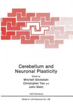 Cerebellum and Neuronal Plasticity