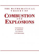 Mathematical Theory of Combustion and Explosions