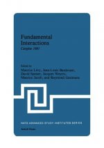 Fundamental Interactions