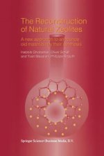 Reconstruction of Natural Zeolites