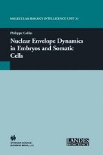 Nuclear Envelope Dynamics in Embryos and Somatic Cells