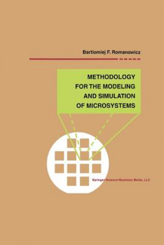 Methodology for the Modeling and Simulation of Microsystems