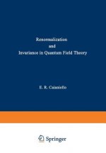 Renormalization and Invariance in Quantum Field Theory