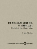 Molecular Structure of Amino Acids