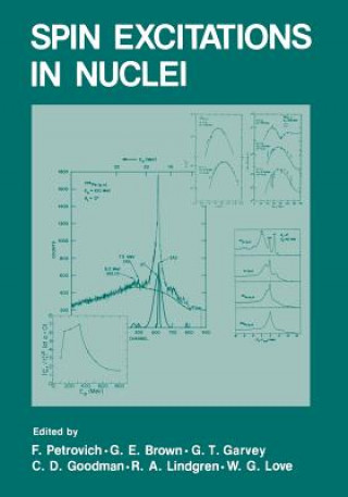 Spin Excitations in Nuclei