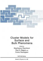 Cluster Models for Surface and Bulk Phenomena