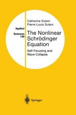 Nonlinear Schroedinger Equation