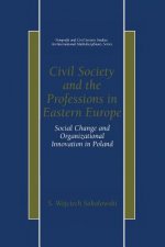 Civil Society and the Professions in Eastern Europe