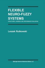 Flexible Neuro-Fuzzy Systems