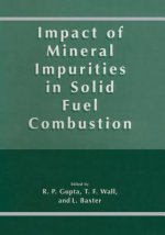 Impact of Mineral Impurities in Solid Fuel Combustion