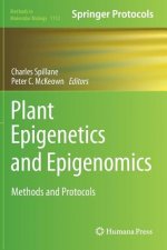 Plant Epigenetics and Epigenomics