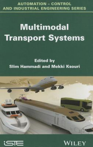 Multimodal Transport Systems