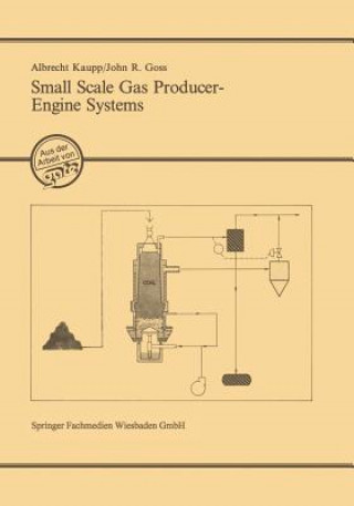 Small Scale Gas Producer-Engine Systems