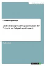 Die Bedeutung von Drogenkonsum in der Pubertat am Beispiel von Cannabis