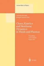 Chaos, Kinetics and Nonlinear Dynamics in Fluids and Plasmas