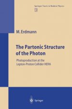 Partonic Structure of the Photon